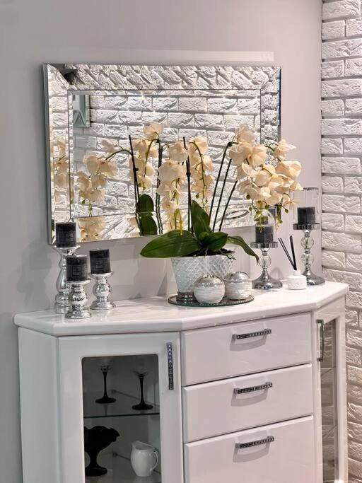 Apartament Zamojski Mlynska Zamość Zewnętrze zdjęcie