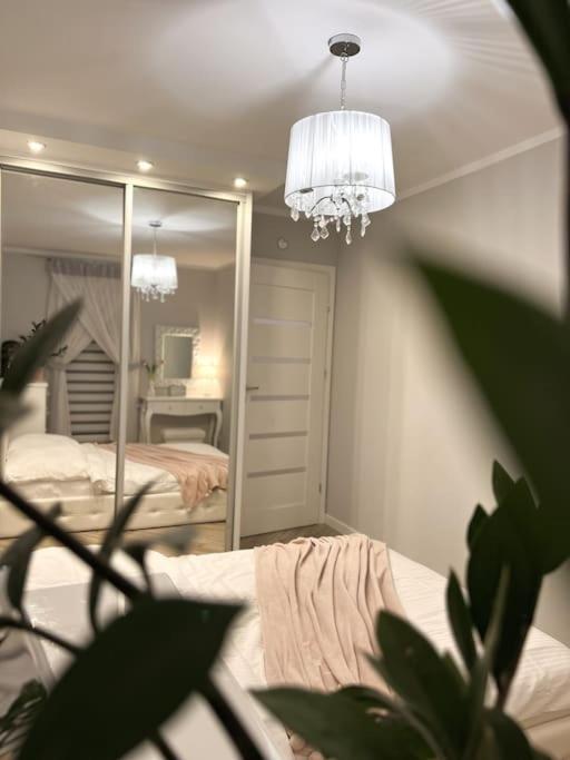 Apartament Zamojski Mlynska Zamość Zewnętrze zdjęcie