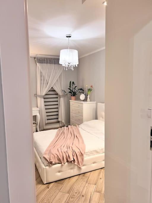 Apartament Zamojski Mlynska Zamość Zewnętrze zdjęcie